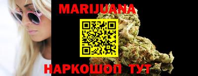 прущие грибы Гатчина