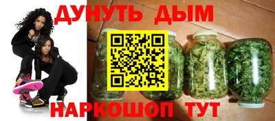 прущие грибы Гатчина