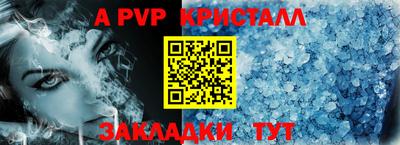 прущие грибы Гатчина